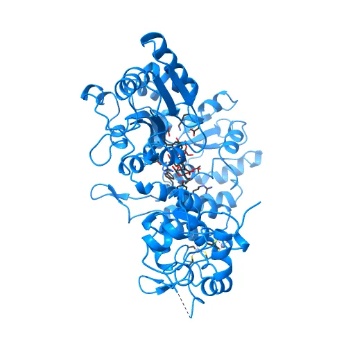 Crystal structure of full-length Bovine Papillomavirus oncoprotein E6 in complex with LD1 motif of paxillin at 2.3A resolution — Фото 12 из 12