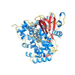 P450 BM3 heme domain in complex with DMSO