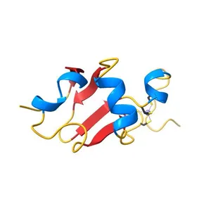 Structure of the C-terminal domain of HPV16 E6 oncoprotein