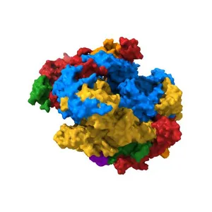 Cryo-EM structure of yeast apo RNA polymerase III at 4.6 A