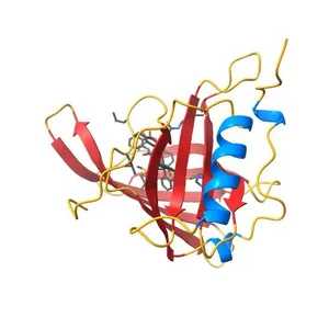 Crystal Structure of Retinol-Binding Protein 4 (RBP4) in complex with non-retinoid ligand