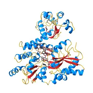 Crystal structure of full-length human papillomavirus oncoprotein E6 in complex with LXXLL peptide of ubiquitin ligase E6AP at 2.55 A resolution