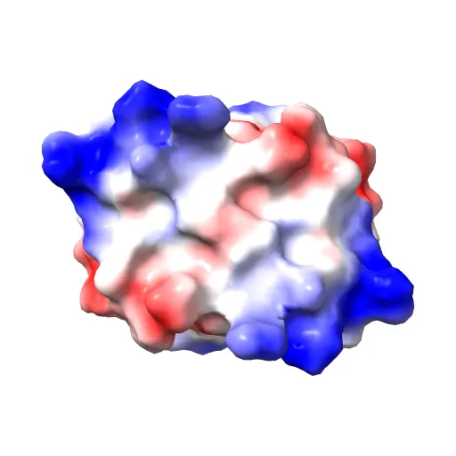 Crystal Structure of HPV E7 CR3 domain — Image 5 of 13
