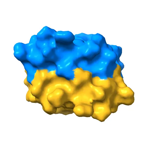 Crystal Structure of HPV E7 CR3 domain — Image 8 of 13