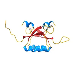 NMR structure of the C-terminal domain (dimer) of HPV45 oncoprotein E7