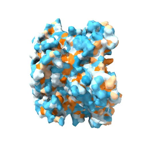 Pentamer Structure of Major Capsid protein L1 of Human Papilloma Virus Type 35 — Фото 2 из 13