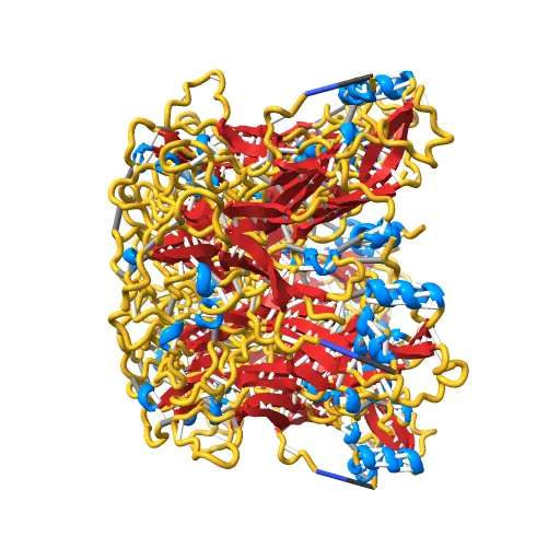 Pentamer Structure of Major Capsid protein L1 of Human Papilloma Virus Type 35 — Фото 3 из 13
