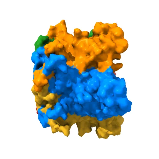 Pentamer Structure of Major Capsid protein L1 of Human Papilloma Virus Type 35 — Фото 4 из 13