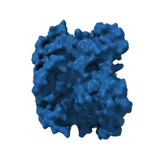 Pentamer Structure of Major Capsid protein L1 of Human Papilloma Virus Type 35 — Фото 6 из 13
