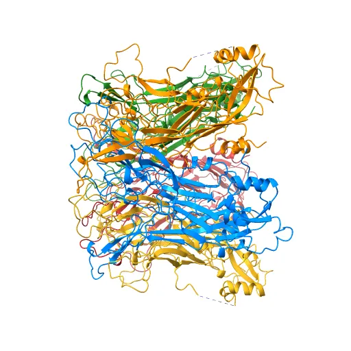 Pentamer Structure of Major Capsid protein L1 of Human Papilloma Virus Type 35 — Фото 7 из 13