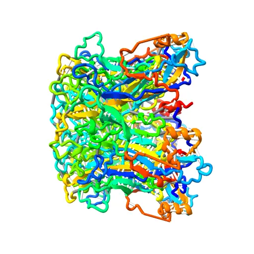 Pentamer Structure of Major Capsid protein L1 of Human Papilloma Virus Type 35 — Фото 8 из 13