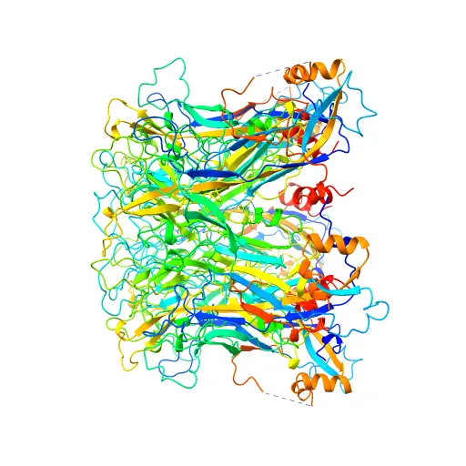 Pentamer Structure of Major Capsid protein L1 of Human Papilloma Virus Type 35 — Фото 9 из 13