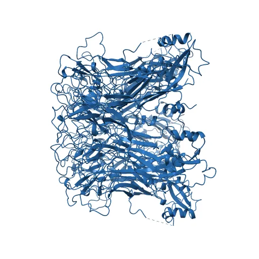 Pentamer Structure of Major Capsid protein L1 of Human Papilloma Virus Type 35 — Фото 10 из 13