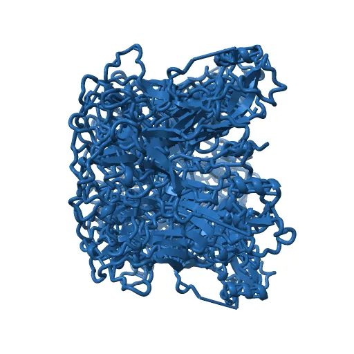 Pentamer Structure of Major Capsid protein L1 of Human Papilloma Virus Type 35 — Фото 11 из 13