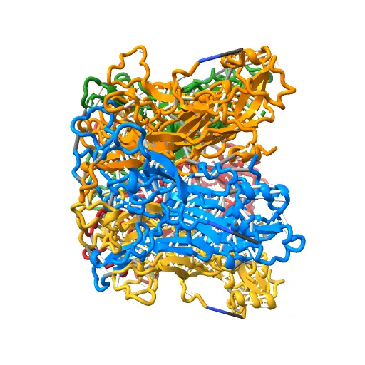 Pentamer Structure of Major Capsid protein L1 of Human Papilloma Virus Type 35 — Фото 12 из 13