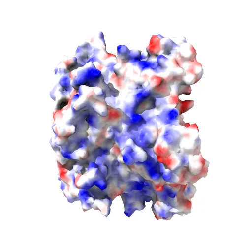 Pentamer Structure of Major Capsid protein L1 of Human Papilloma Virus Type 35 — Фото 13 из 13