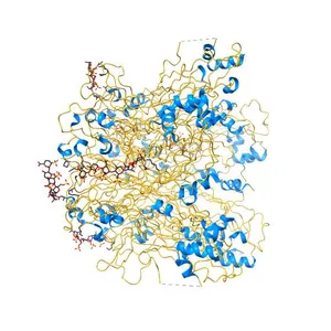 Crystal structure of HPV16 L1 Pentamer bound to Heparin oligosaccharides