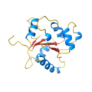 CRYSTAL STRUCTURE OF THE TIR DOMAIN OF HUMAN TLR2