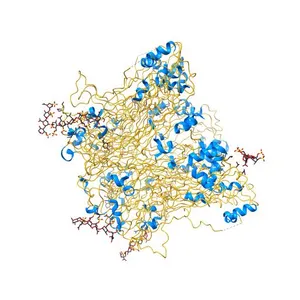 Crystal structure of Humanpapillomavirus18 (HPV18) capsid L1 pentamers bound to heparin oligosaccharides