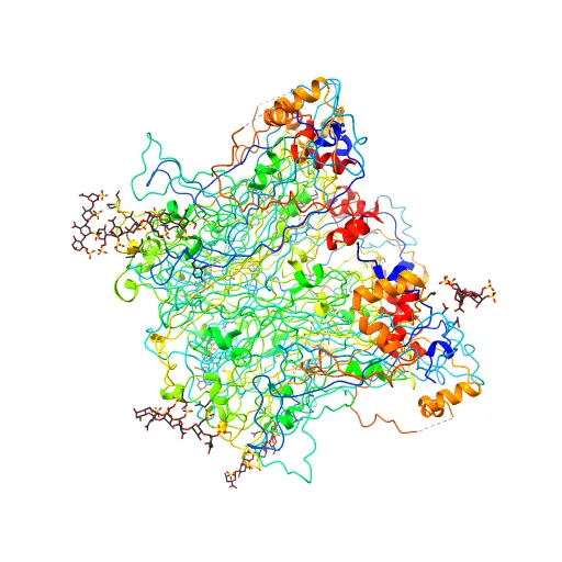 Crystal structure of Humanpapillomavirus18 (HPV18) capsid L1 pentamers bound to heparin oligosaccharides — Фото 2 из 13