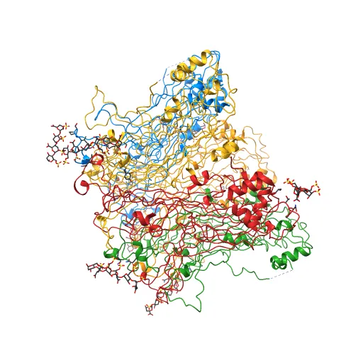 Crystal structure of Humanpapillomavirus18 (HPV18) capsid L1 pentamers bound to heparin oligosaccharides — Фото 3 из 13