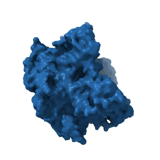 Crystal structure of Humanpapillomavirus18 (HPV18) capsid L1 pentamers bound to heparin oligosaccharides — Фото 5 из 13