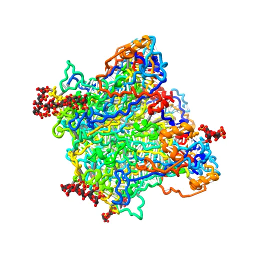 Crystal structure of Humanpapillomavirus18 (HPV18) capsid L1 pentamers bound to heparin oligosaccharides — Фото 6 из 13