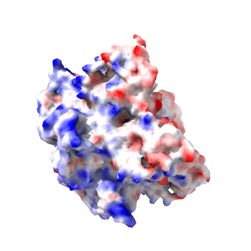 Crystal structure of Humanpapillomavirus18 (HPV18) capsid L1 pentamers bound to heparin oligosaccharides — Фото 7 из 13