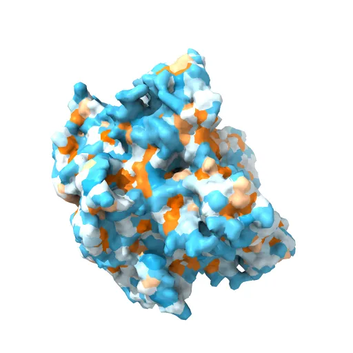 Crystal structure of Humanpapillomavirus18 (HPV18) capsid L1 pentamers bound to heparin oligosaccharides — Фото 8 из 13
