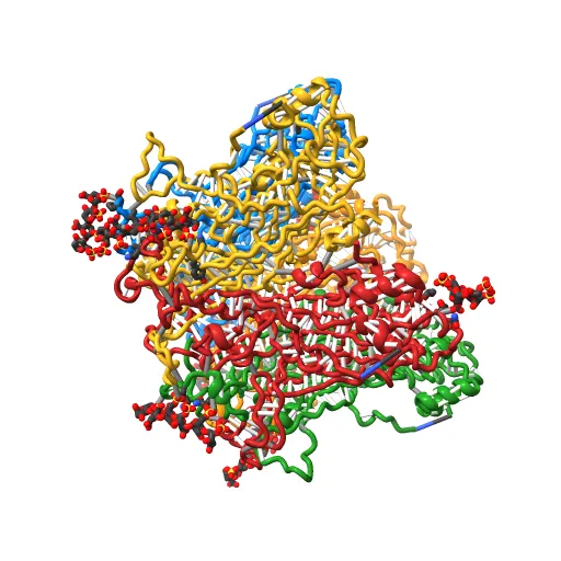 Crystal structure of Humanpapillomavirus18 (HPV18) capsid L1 pentamers bound to heparin oligosaccharides — Фото 9 из 13