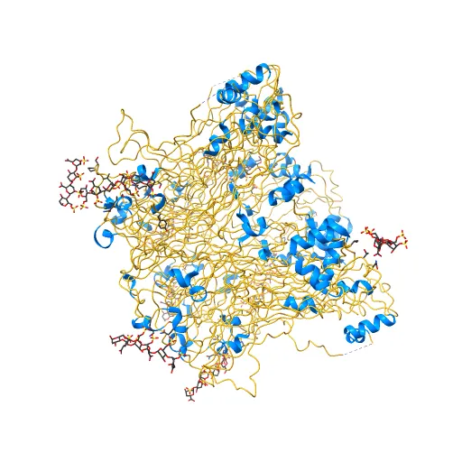 Crystal structure of Humanpapillomavirus18 (HPV18) capsid L1 pentamers bound to heparin oligosaccharides — Фото 10 из 13