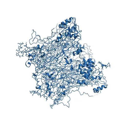Crystal structure of Humanpapillomavirus18 (HPV18) capsid L1 pentamers bound to heparin oligosaccharides — Фото 11 из 13