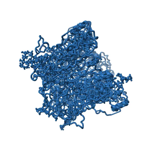 Crystal structure of Humanpapillomavirus18 (HPV18) capsid L1 pentamers bound to heparin oligosaccharides — Фото 12 из 13