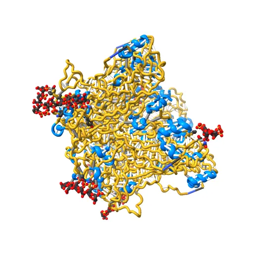 Crystal structure of Humanpapillomavirus18 (HPV18) capsid L1 pentamers bound to heparin oligosaccharides — Фото 13 из 13