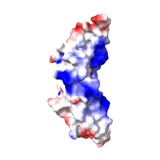 Refinement of BMP7 crystal structure — Image 5 of 13