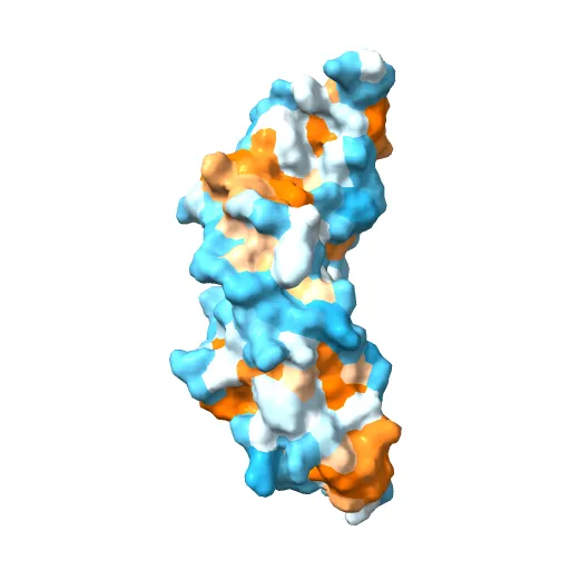 Refinement of BMP7 crystal structure — Image 6 of 13