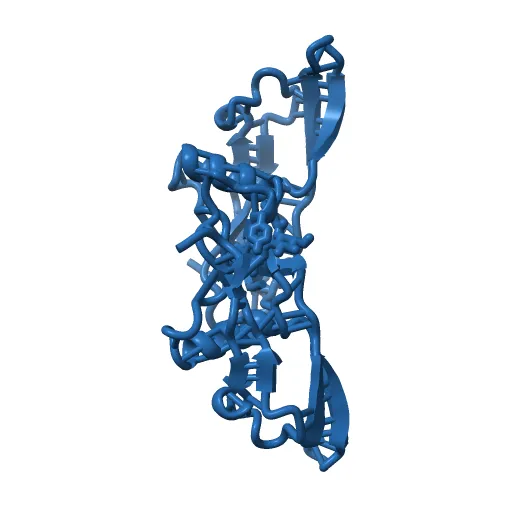 Refinement of BMP7 crystal structure — Image 7 of 13