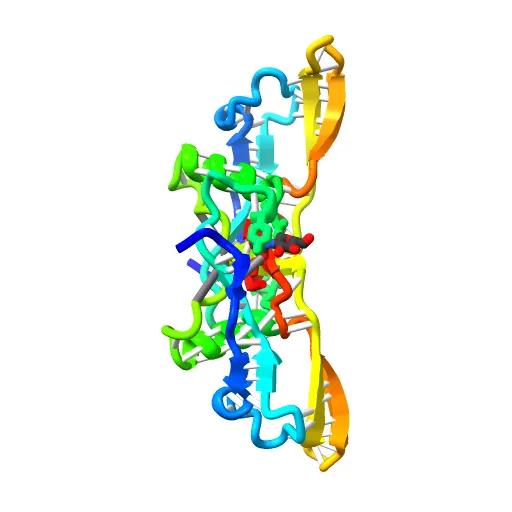 Refinement of BMP7 crystal structure — Image 8 of 13