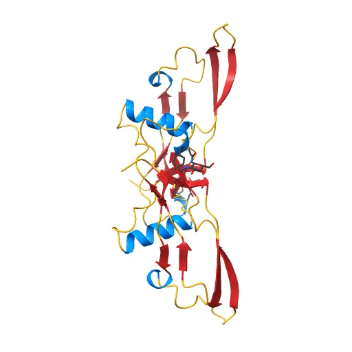 Refinement of BMP7 crystal structure — Image 11 of 13