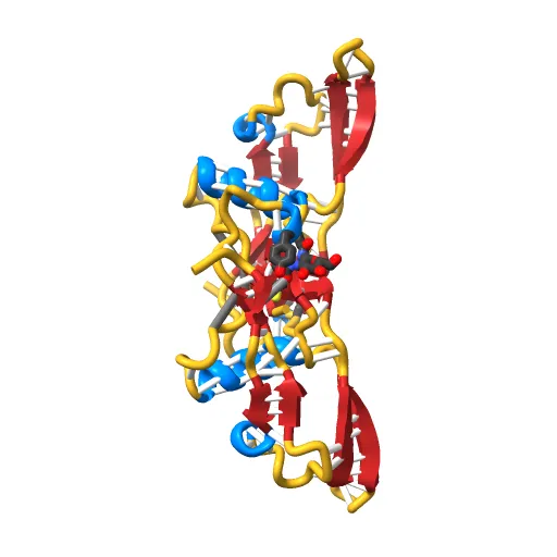 Refinement of BMP7 crystal structure — Image 12 of 13