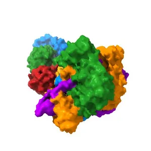Crystal structure of a CRISPR RNA-guided surveillance complex, Cascade, bound to a ssDNA target