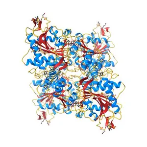 Crystal structure of PhaC1 from Ralstonia eutropha