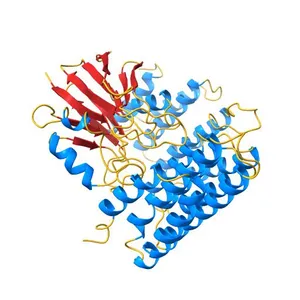 Functional architecture of the retromer cargo-recognition complex