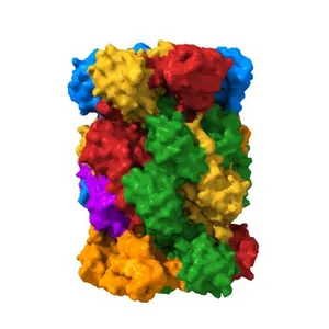 Crystal structure of 20S proteasome in complex with hydroxylated salinosporamide