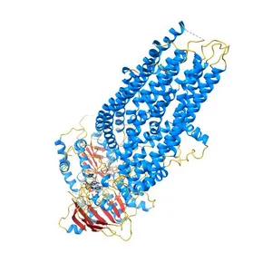 Phosphorylated, ATP-bound structure of zebrafish cystic fibrosis transmembrane conductance regulator (CFTR)