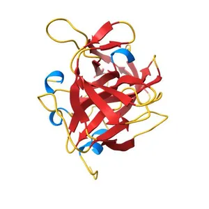POLIOVIRUS 3C PROTEINASE