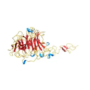 Crystal structure of Hedgehog-interacting protein (HHIP) and Sonic hedgehog (SHH) complex