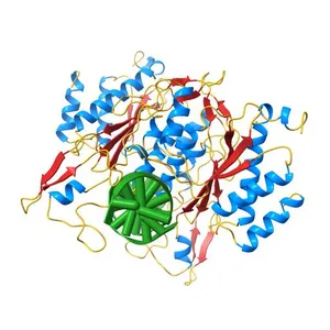PRE-TRANSITION STATE ECO RI ENDONUCLEASE/COGNATE DNA (TCGCGAATTCGCG) COMPLEX