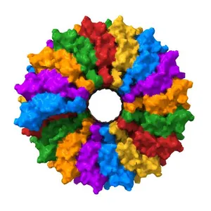 VISUALIZATION OF PROTEIN-NUCLEIC ACID INTERACTIONS IN A VIRUS. REFINED STRUCTURE OF INTACT TOBACCO MOSAIC VIRUS AT 2.9 ANGSTROMS RESOLUTION BY X-RAY FIBER DIFFRACTION