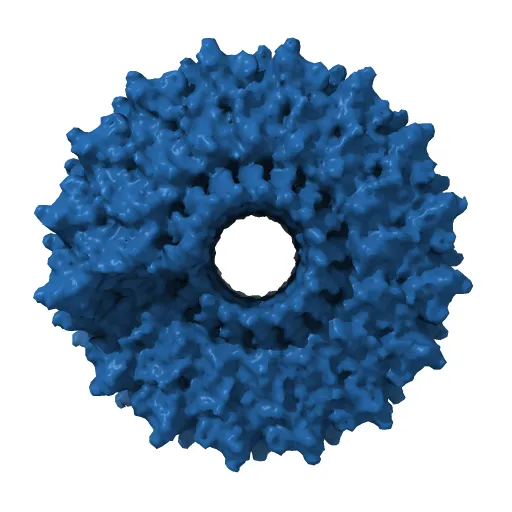VISUALIZATION OF PROTEIN-NUCLEIC ACID INTERACTIONS IN A VIRUS. REFINED STRUCTURE OF INTACT TOBACCO MOSAIC VIRUS AT 2.9 ANGSTROMS RESOLUTION BY X-RAY FIBER DIFFRACTION — Фото 3 из 4